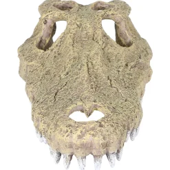 Aqua Della Krokodil Schedel - Aquarium - Ornament - 28.5x14.5x8 cm