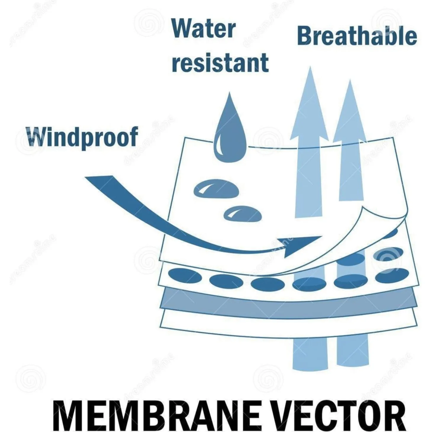 Ardy's Dames Softshell Jas - Outdoorjas