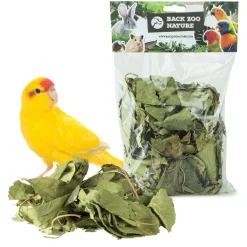 Back Zoo Nature Discovery Leaves Orchard - Natuurlijk Speelgoed - Ca. 65 G