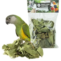 Back Zoo Nature Discovery Leaves Orchard - Natuurlijk Speelgoed - Ca. 65 G