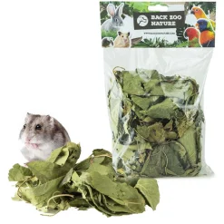 Back Zoo Nature Discovery Leaves Orchard - Natuurlijk Speelgoed - Ca. 65 G