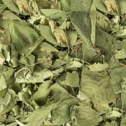 Back Zoo Nature Discovery Leaves Orchard - Natuurlijk Speelgoed - Ca. 65 G