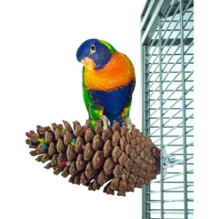 Back Zoo Nature Foraging Pine Cone - Vogelspeelgoed - per stuk