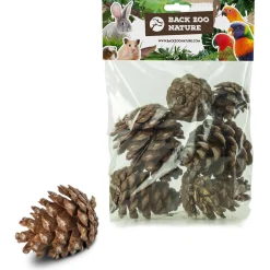 Back Zoo Nature Forest Pine Cones - Natuurlijk Speelgoed - 6 stuks