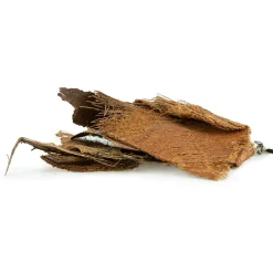 Back Zoo Nature Palm Bark - Natuurlijk Speelgoed - per stuk