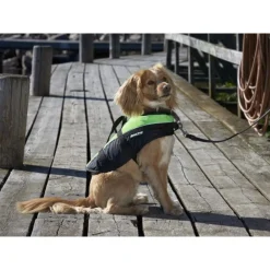 Baltic Hondenzwemvest Mascot - Reddingsvest - Oranje Zwart Xs