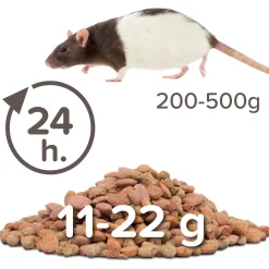 Beaphar Care Plus Rat - Rattenvoer