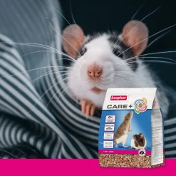 Beaphar Care Plus Rat - Rattenvoer