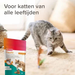 Beaphar Flexifits Bits - Voedingssupplement - 150 g