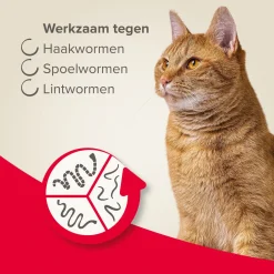 Beaphar Wormmiddel All-In-One Kat - Anti wormenmiddel - 2 stuks