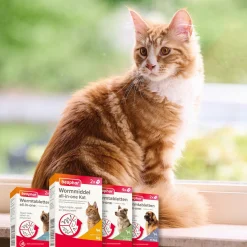 Beaphar Wormmiddel All-In-One Kat - Anti wormenmiddel - 2 stuks