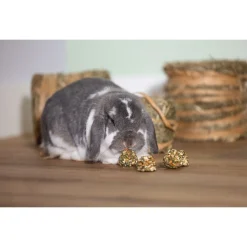 Beeztees Cones - Knaagdiersnack - Wortel Mais 10 stuks