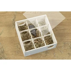 Beeztees Doolhof Cleo - Speelgoed - 18x18x8 cm 242 g Mintgroen