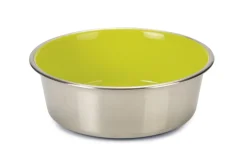 Beeztees Eetbak Rvs Wtf Hond Groen - Hondenvoerbak