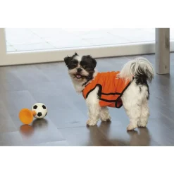 Beeztees Holland Toeter - Hondenspeelgoed - 20 cm Oranje