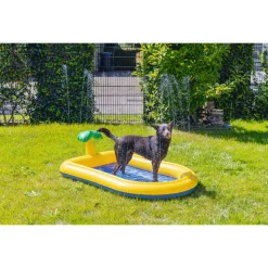 Beeztees Hondenzwembad Palmy - Hondenspeelgoed - 163x100x47 cm Multi-Color