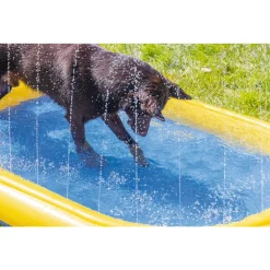 Beeztees Hondenzwembad Palmy - Hondenspeelgoed - 163x100x47 cm Multi-Color
