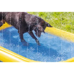 Beeztees Hondenzwembad Palmy - Hondenspeelgoed - 163x100x47 cm Multi-Color