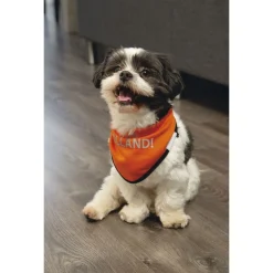 Beeztees Hup Holland Bandana Oranje - Hondenkleding
