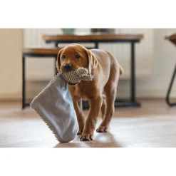 Beeztees Knuffellap - Hondenspeelgoed - Grijs