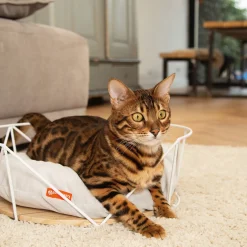 Beeztees Metalen Kattenmand Kipu Wit - Kattenmand