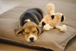 Beeztees Puppy Flamingo Mick - Hondenspeelgoed - 27x10x18 cm 98 g Pink