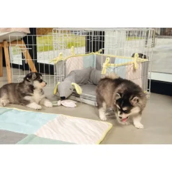 Beeztees Puppy Kauwring - Hondenspeelgoed - 22x8.5x2 cm Groen Pink Wit