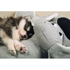 Beeztees Puppy Knuffel Boomba - Hondenspeelgoed - 70x40x21 cm Grijs