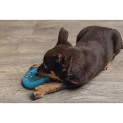 Beeztees Puppy Koel Bijtring - Hondenspeelgoed - Ø10 cm Groen