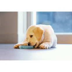 Beeztees Puppy Koel Bijtring - Hondenspeelgoed - Ø10 cm Groen