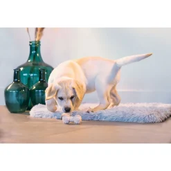 Beeztees Puppy Rubber Dental Halter Ø4x9 cm - Hondenspeelgoed