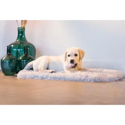 Beeztees Puppy Rubber Dental Halter Ø4x9 cm - Hondenspeelgoed