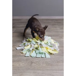 Beeztees Puppy Snuffelmat Sniffy - Hondenspeelgoed - 22x22x4 cm Assorti Geel Groen