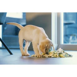 Beeztees Puppy Snuffelmat Sniffy - Hondenspeelgoed - 22x22x4 cm Assorti Geel Groen