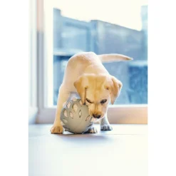 Beeztees Puppy Speelbal Odoro - Hondenspeelgoed - Groen