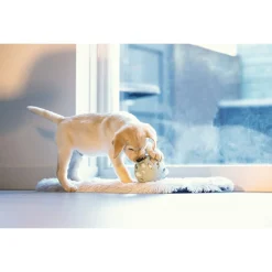 Beeztees Puppy Speelbal Odoro - Hondenspeelgoed - Groen