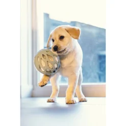 Beeztees Puppy Speelbal Odoro - Hondenspeelgoed - Groen