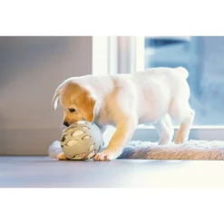 Beeztees Puppy Speelbal Odoro - Hondenspeelgoed - Groen