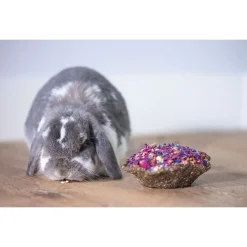 Beeztees Saladebakje - Knaagdiersnack - Rozenbloesem Korenbloem 15x6 cm 115 g