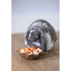 Beeztees Saladebakje - Knaagdiersnack - Wortel Pastinaak 115 g