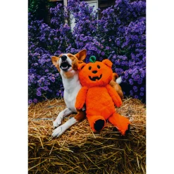 Beeztees Speeltje Pompoenbeer - Hondenspeelgoed - 45 cm Oranje