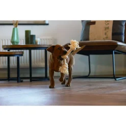 Beeztees Speeltouw 3 Knopen - Hondenspeelgoed - Beige