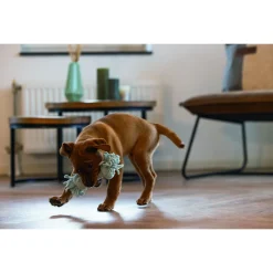 Beeztees Speeltouw 2 Knopen - Hondenspeelgoed - Blauw