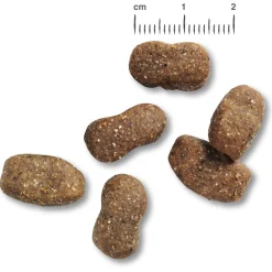 Belcando Adult - Hondenvoer - Lam Rijst 12.5 kg