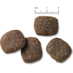 Belcando Adult Active - Hondenvoer - 12.5 kg