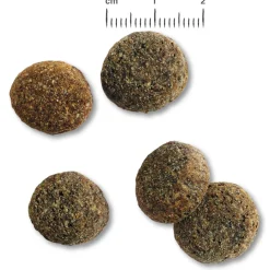 Belcando Senior Sensitive - Hondenvoer - 12.5 kg