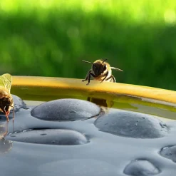 Best For Birds Bijen- En Vlinderdrinkschaal - Drinkbak - 27x27x8 cm Geel