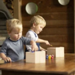 Best For Birds Dhz Nestkastje Met Verf - Broeden - 11.7x14.8x20 cm