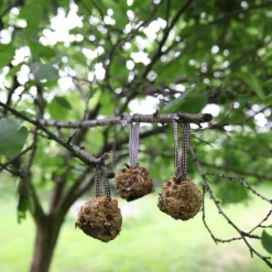 Best For Birds Dhz Vogelvoer Dennenappels - Voer - 6.7x6.7x7.2 cm 430 g