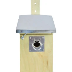 Best For Birds Eekhoorn-Marter Korfje - Broeden - Zilver